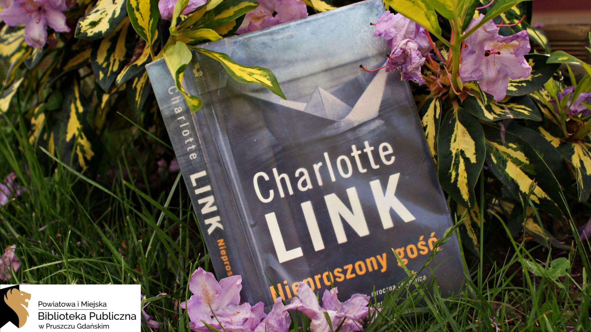 Na trawie stoi książka Charlotte Link pt. Nieproszony gość. Na okładce jest łódka z papieru umieszczona na wodzie. Wokół książki są jasnofioletowe kwiaty.
