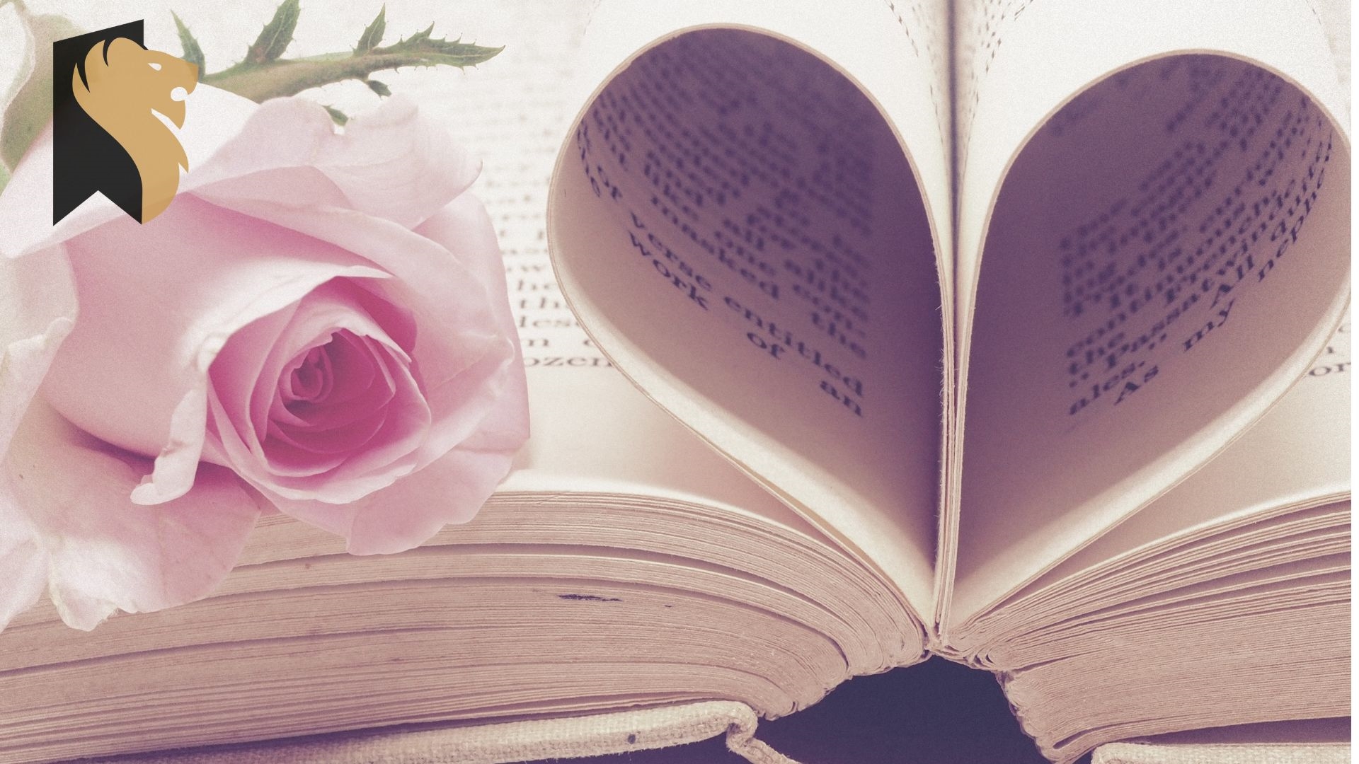 Otwarta książka. Z kartek na środku zrobione serce. Z lewej strony róża.